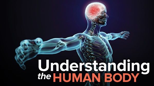 Understanding the Human Body: An Introduction to Anatomy and Physiology, 2nd Edition