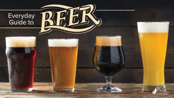 The Everyday Guide to Beer