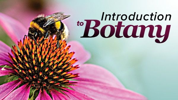Plant Science: An Introduction to Botany