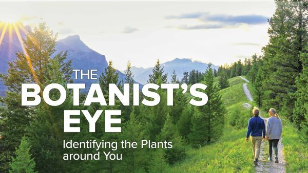The Botanist's Eye: Identifying the Plants around You