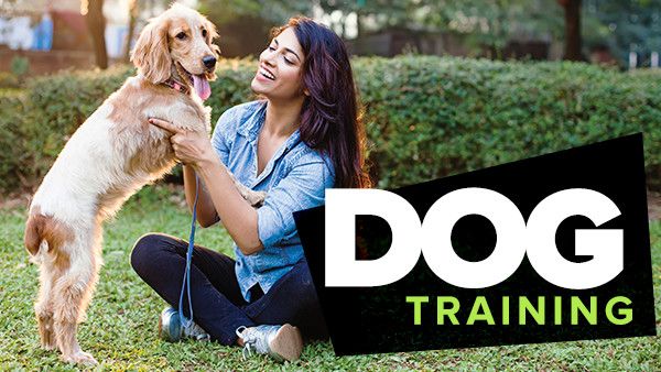 Dog Training 101