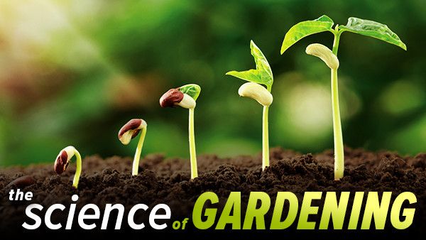 The Science of Gardening