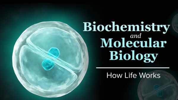 Biochemistry and Molecular Biology: How Life Works